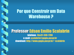 Por que Construir um Data Warehouse ?