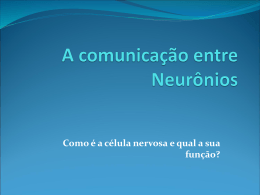 A comunicação entre Neurônios