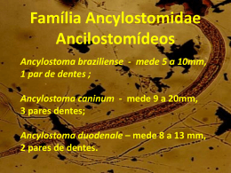 3.1 Família Ancylostomidae Ancilostomídeos
