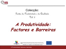 Os factores determinantes da produtividade