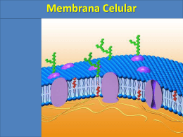 Membrana Celular