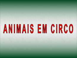 Animais em Circo