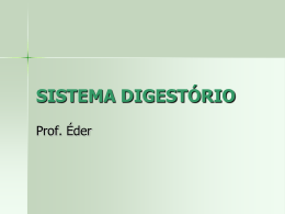 Sistema Digestivo - Colégio Machado de Assis