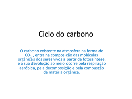 Ciclo do carbono