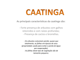 Caatinga - Colégio Rio Branco