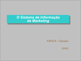 Lección 10 : Sistema de información de Marketing.