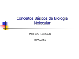 Noções Básicas de Biologia Molecular