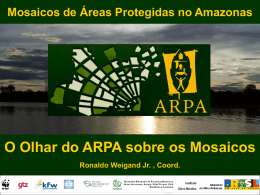 Programa ARPA: ousadia, inovação e resultados