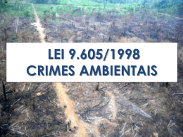 Crimes contra a administração ambiental