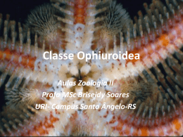 Classe Ophiuroidea - uri