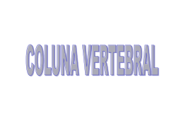 Coluna Vertebral - arquivo em power point