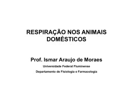 Respira_mamif.Aula monitoria - Universidade Federal Fluminense