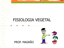 FISIOLOGIA VEGETAL