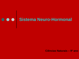 Sistema Neuro