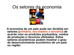 Os setores da economia 05