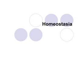 Capítulo 7 Homeostasia