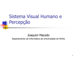 Sistema visual humano e percepção