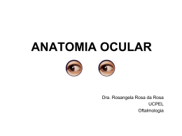 Oftalmo 1 - Anatomia Ocular