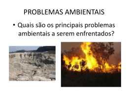 PROBLEMAS AMBIENTAIS