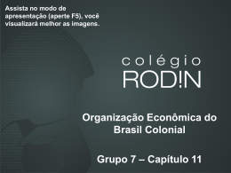Organização Econômica do Brasil Colonial Grupo 7 – Capítulo 11
