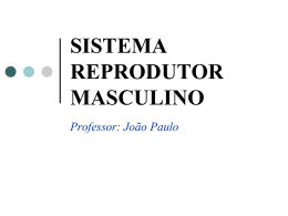SISTEMA REPRODUTOR MASCULINO Professor: João Paulo
