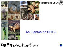 As Plantas na CITES