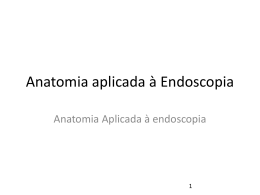 Anatomia Aplicada à endoscopia