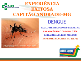 experiencia_capitao_andrade - Cosems-MG
