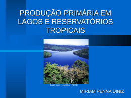 produ&ccedil;&atilde;o prim&aacute;ria