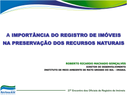 A import&acirc;ncia do Registro de Im&oacute;veis na preserva&ccedil;&atilde;o dos