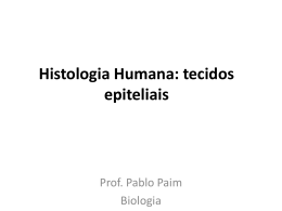 Histologia humana: tecidos epiteliais