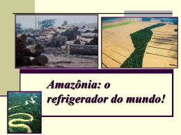 Amaz&ocirc;nia