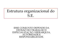 Estrutura organizacional do S.E. - Universidade Castelo Branco