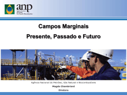 Campos Marginais Presente, Passado e Futuro