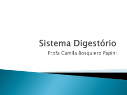 5 - Sistema Digestório