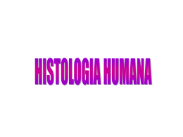 histologia – o estudo dos tecidos