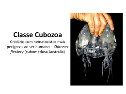 Classe Cubozoa