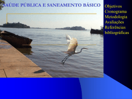 Saneamento b&aacute;sico inadequado e as doen&ccedil;as de veicula&ccedil;&atilde;o h&iacute;drica.