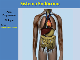 Aula Sistema Endocri..