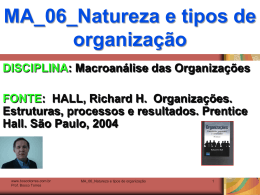 MA_06_Natureza_e_tipos_de_organizacao