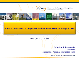 Rio Oil & Gas 2008 (contexto mundial e preço do petróleo)