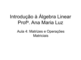 Introdução à Álgebra Linear Profa. Ana Maria Luz