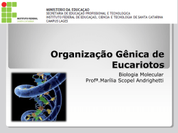 Organização Gênica de Eucariotos - Docente