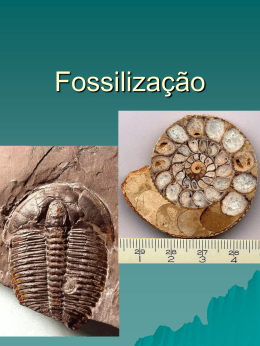 Fossilização