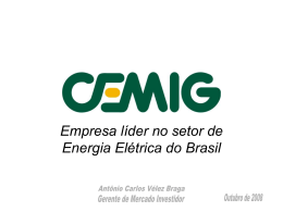Empresa líder no setor de Energia Elétrica do Brasil