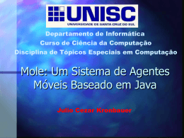 Mole: Um Agente de Sistema Móvel Baseado em Java