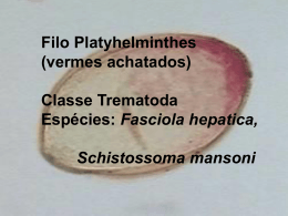 Fasciola hepatica, Schistossoma mansoni