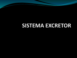 SISTEMA EXCRETOR