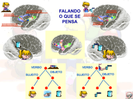 Anima&ccedil;&atilde;o