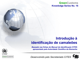 Introdu&ccedil;&atilde;o &agrave; identifica&ccedil;&atilde;o de camale&otilde;es